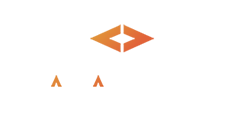 logo DataPrint blanc