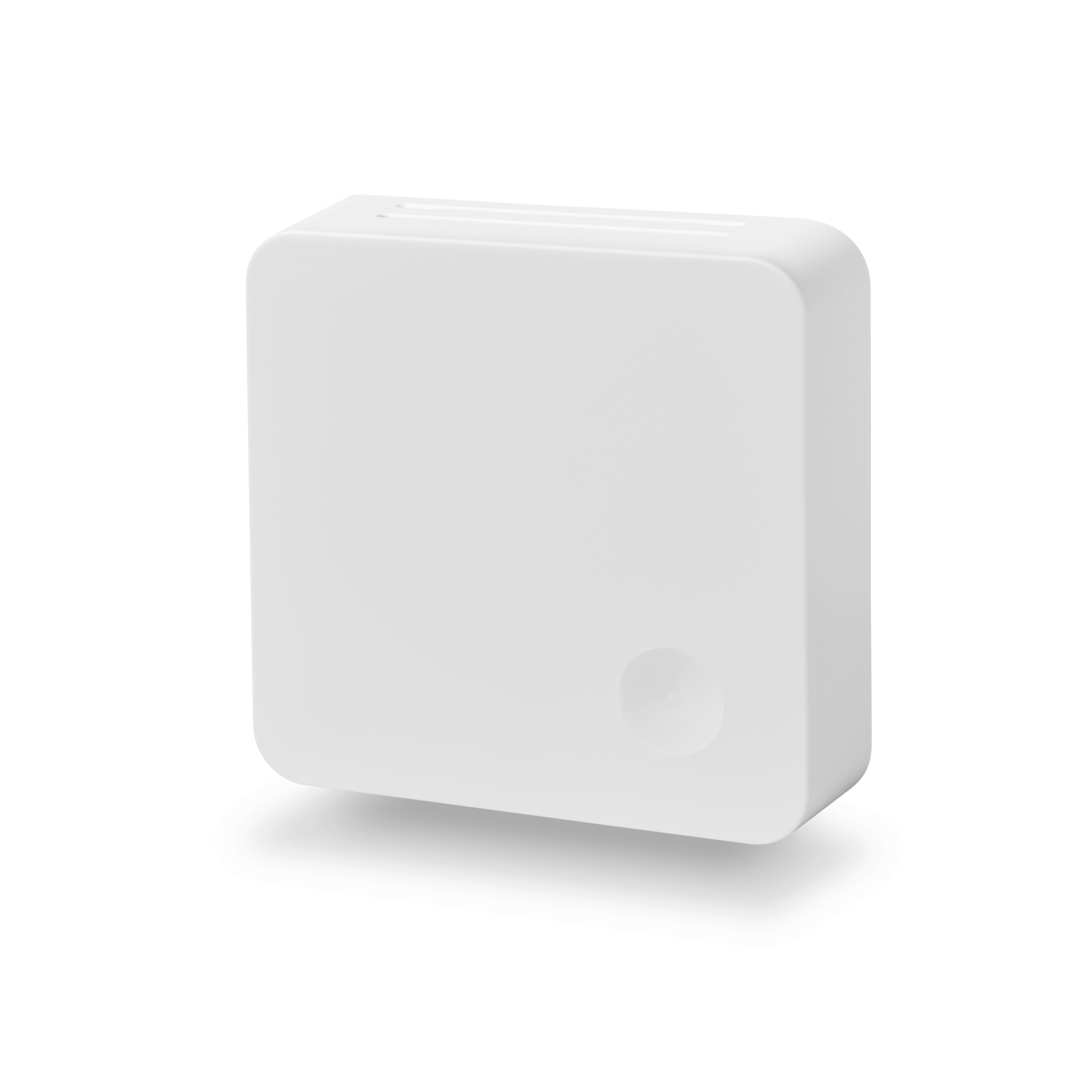 Elsys ERS Temp wMBus